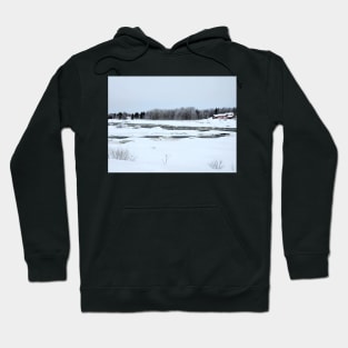 Lapland Hoodie